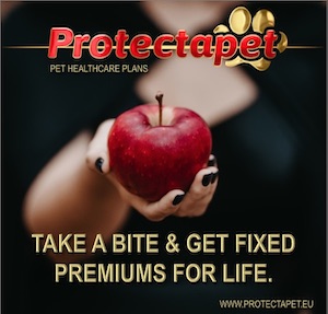 Lady with red apple in her hand enticing you to take out a Protectapet Healthcare plan 